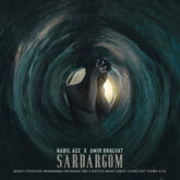 دانلود آهنگ امیر خلوت سردرگم