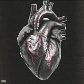 مهدی پایکار قلب فلزی