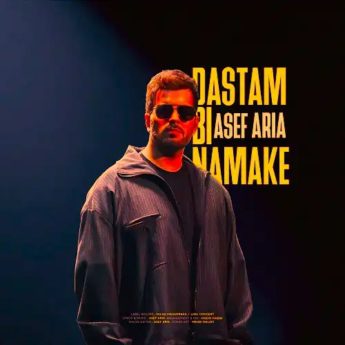 دانلود اهنگ آصف آریا دستم بی نمکه