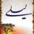 مسعود جلیلیان مجنونت شدم لیلی