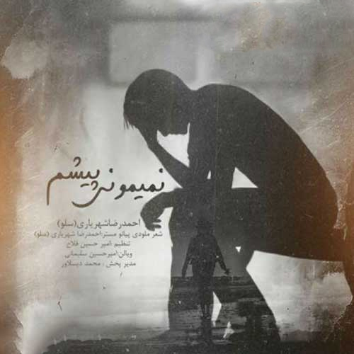 احمد سلو نمیمونی پیشم