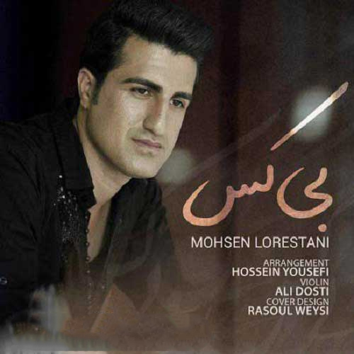 محسن لرستانی بی کس