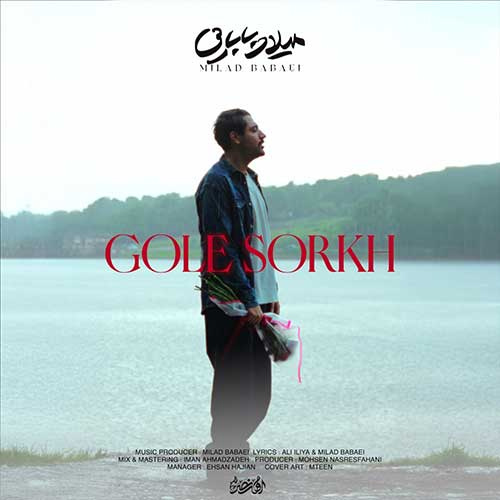 میلاد بابایی گل سرخ