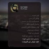 مامان قبرم تنگه ولی پسرت دلش گندس