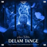 امیر تتلو دلم تنگه