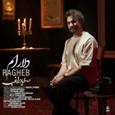 دانلود اهنگ جدید راغب دلارام